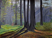 Obrazy - Misty forest... - 4043981_
