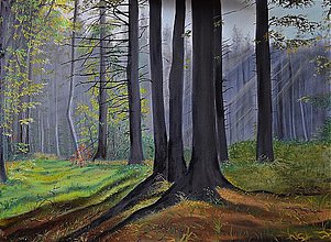 Obrazy - Misty forest... - 4043981_