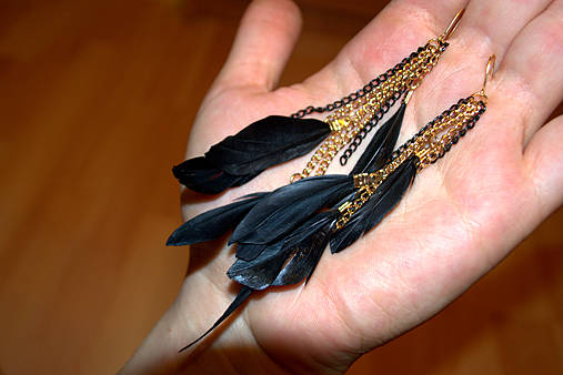  - *Black feathers* - 4266216_