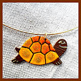 Oranžová korytnačka