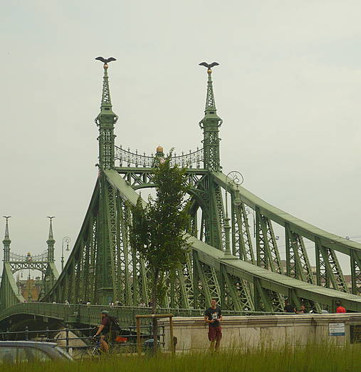 Fotografie - Zelený most - 4374532_