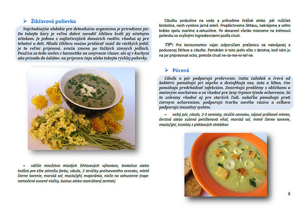SLOVENSKÁ VEGETARIÁNKA (170 receptov, pdf príručka)