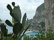 Fotografie - * pohľad z ostrova Capri * - 4491083_