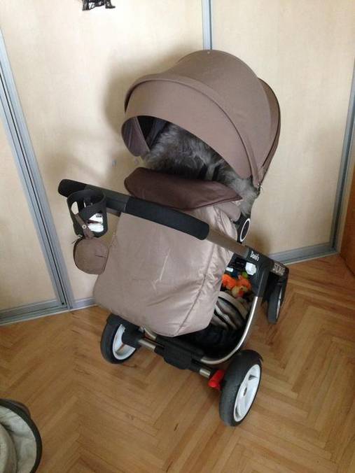 nanoznik stokke xplory