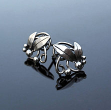 Náušnice - Silver earrings - 4618407_