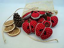  - Set vianočných mini jabĺčok 10ks s vrecúškom  - 4663071_