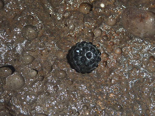 Korálky - Shamballa čierna kvalita A - 4724963_