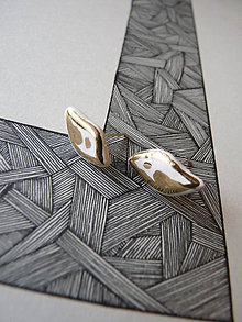 Náušnice - Náušnice okrídlenci - 4840857_