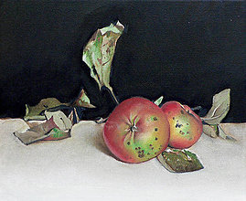Obrazy - Dvě jablka - olejomalba na plátně - 4856190_