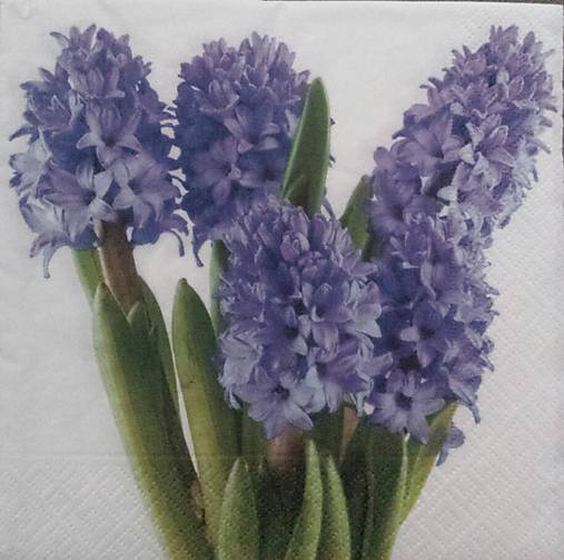  - Servítka"Hyacinths", ihneď - 4898068_