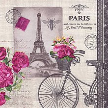 Papier - PPD Paris, bicykel a ruže  - 4989837_