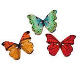 Galantéria - Motýle - 5051759_