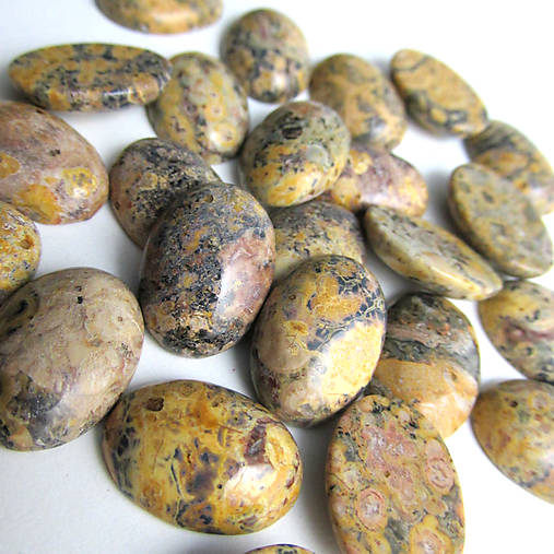 Minerály - Leopard skin / kabošon 18x13mm - 5068335_
