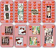  - špeciálne sedmové karty zvieratká - 5084239_