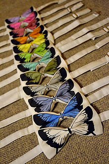 Pánske doplnky - Motýlek - bílý s motýlem - 5131499_