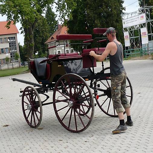 Fotografie - Kočiš - 5172423_