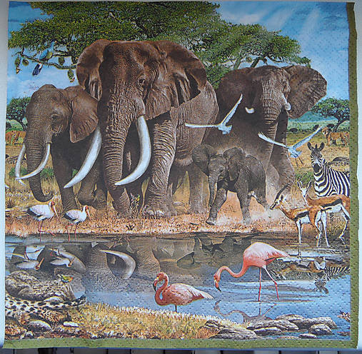 Papier - safari - 5171553_