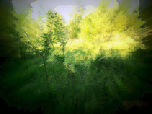 Grafika - Botanická záhrada - 5178870_