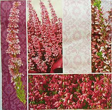 Papier - S250 - Servítky - ružový záhon, kvet, ornament - 5191783_