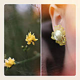 Náušnice - Délice - daffodil (119t) - Chir. oceľ - 5234509_