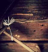 Fotografie - Na počiatku bolo semienko - 5304311_