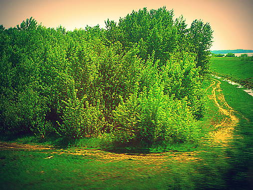 Fotografie - Chodníček - 5412904_