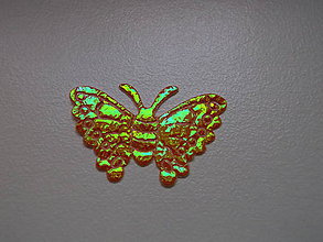Galantéria - Textílna aplikácia - motýľ oranžový - 5440277_