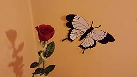 Dekorácie - Nálepka na stenu - motýľ - 5508210_