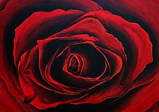 Obrazy - Flower of Love - 5526705_