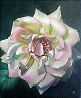 Obrazy - Růže Gloria dei - olejomalba na plátně - 5951173_