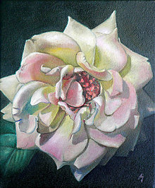 Obrazy - Růže Gloria dei - olejomalba na plátně - 5951173_