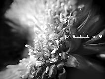 Fotografie - Black and white flower - 5988502_