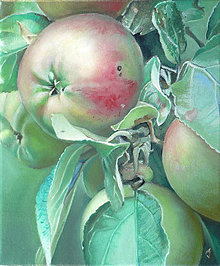 Obrazy - Jablka - olejomalba na plátně - 6062935_