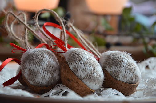 Dekorácie - Oriešky popletené - 6092951_