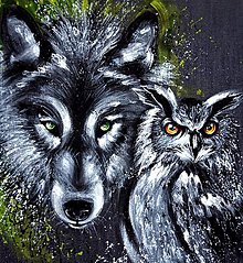 Obrazy - vlk a sova - 6184723_