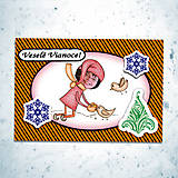 Papiernictvo - Vianočná pohľadnica s vlastnou fotkou pásiky (kŕmenie vtáčikov) - 6200339_