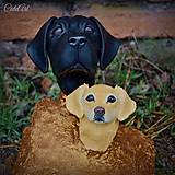 Sochy - Oči plné lásky Duo - busty psíkov podľa fotografie - 6220563_