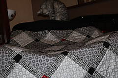 Úžitkový textil - Čierno-biela s kvapkou červenej - 6230344_