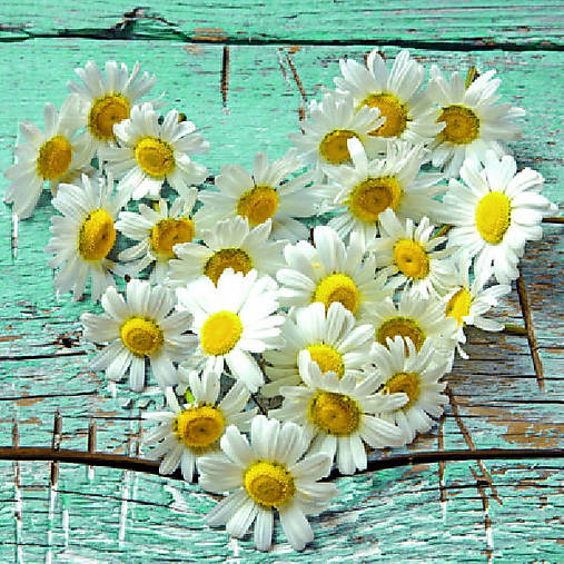  - Servítka "Heart of daisies", ihneď - 6228168_