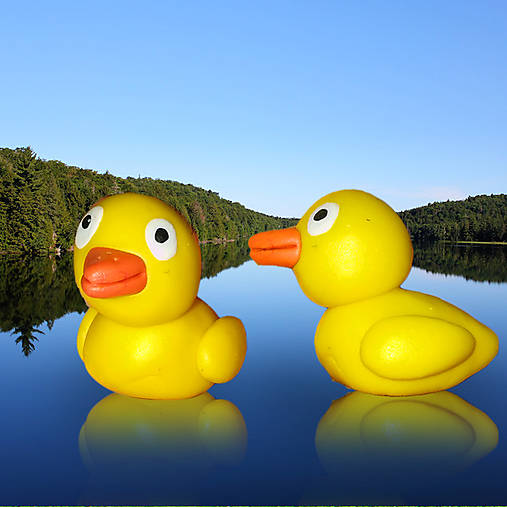 Hračky - Fake nafukovacie zvieratko (kačička) - 6327049_