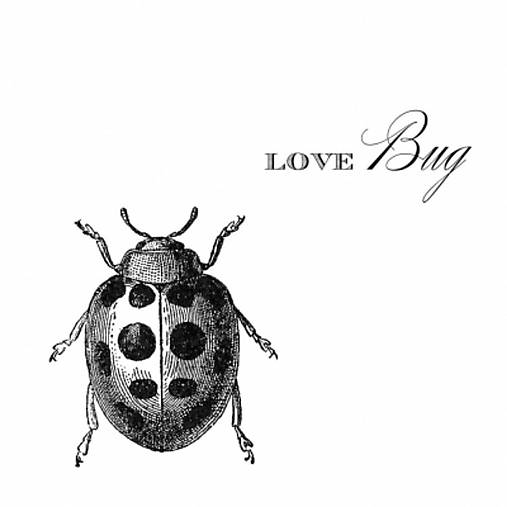 - Servítka "Love bug", ihneď - 6366523_