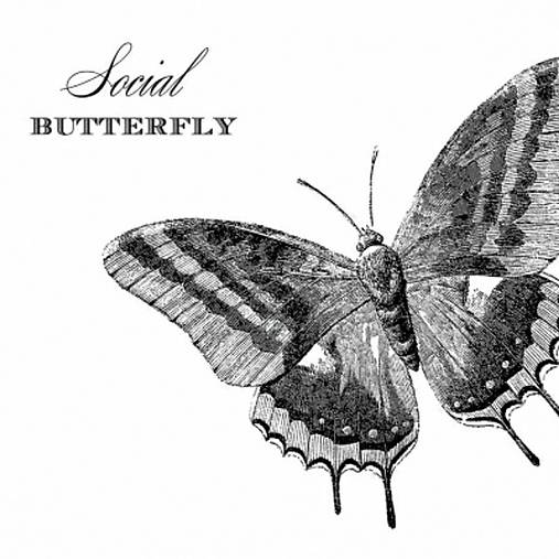  - Servítka "Social Butterfly", ihneď - 6366531_