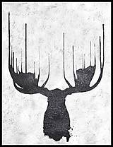 Obrazy - Moose - 6378177_