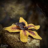 Orchidea "Vanilla Sky" - sada 3 dekoračných kvetov
