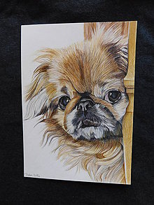 Kresby - Farebná kresba psíka - 6501897_