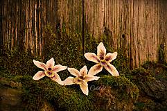 Obrazy - Biela orchidea - séria obrazov na plátne - 6505403_