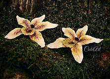 Obrazy - Biela orchidea II. - obraz na plátne - 6505469_