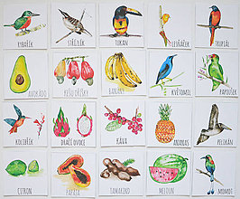 Hračky - Pexeso Vtáci a ovocie Strednej Ameriky - 6640044_