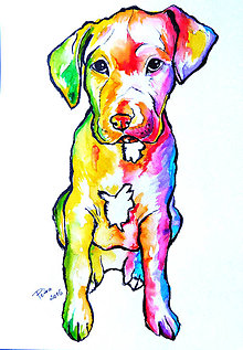 Obrazy - Akvarelová maľba  "Všetky farby dúhy" - 6697513_
