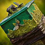 Vážky v lese - krabička, šperkovnica